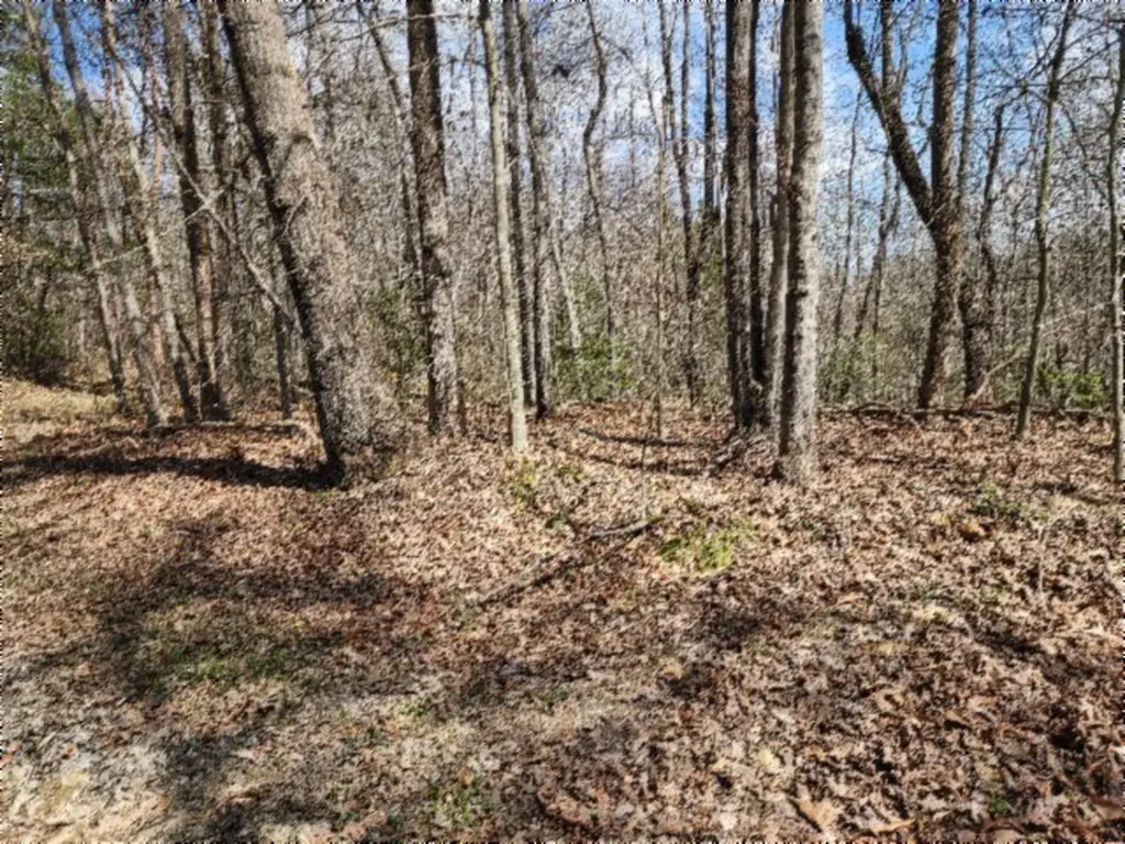 10.79AC S/o Buffalo Road Oneida TN 37841