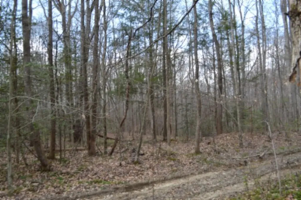 10.79AC S/o Buffalo Road Oneida TN 37841