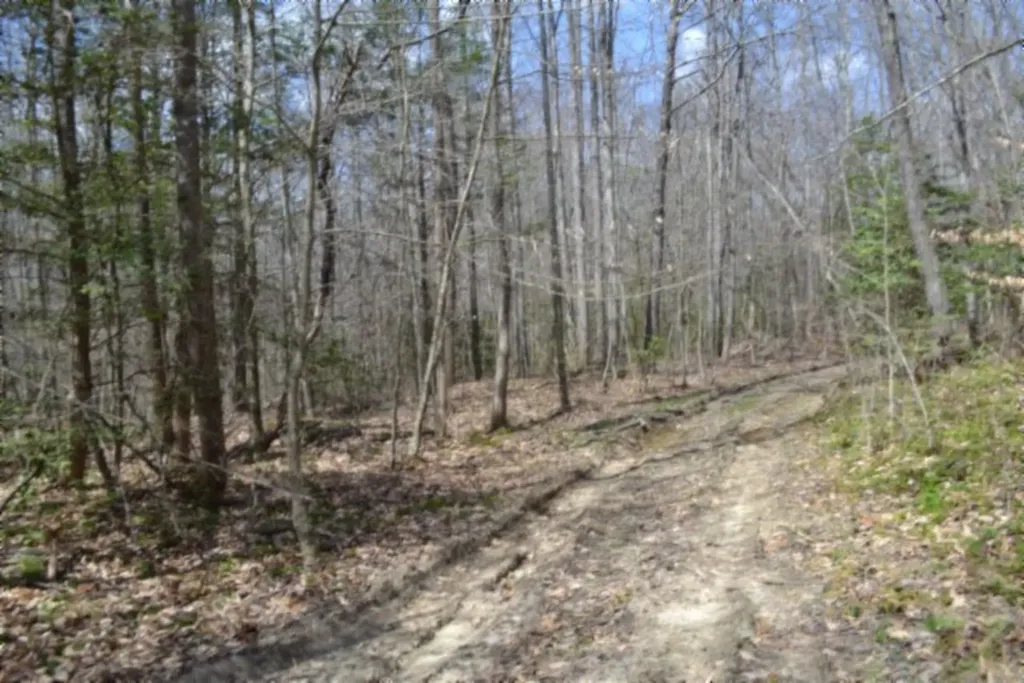 10.79AC S/o Buffalo Road Oneida TN 37841