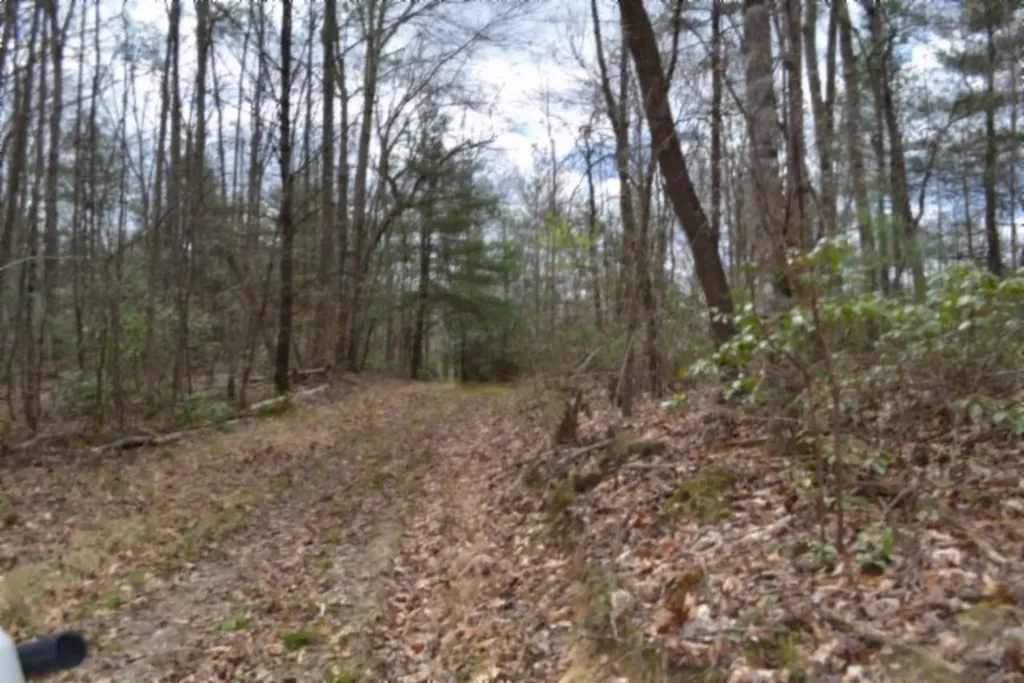 10.79AC S/o Buffalo Road Oneida TN 37841