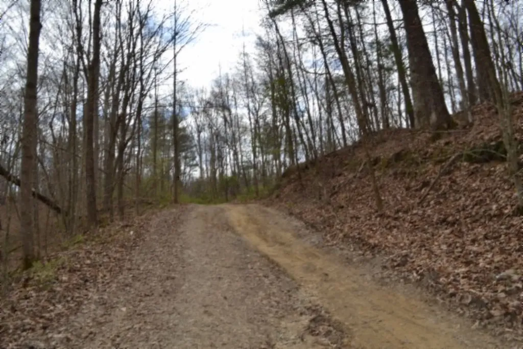 10.79AC S/o Buffalo Road Oneida TN 37841