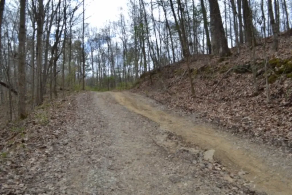 10.79AC S/o Buffalo Road Oneida TN 37841