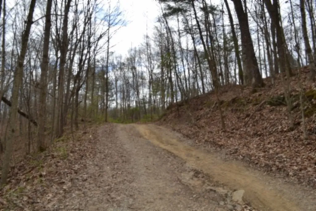10.79AC S/o Buffalo Road Oneida TN 37841