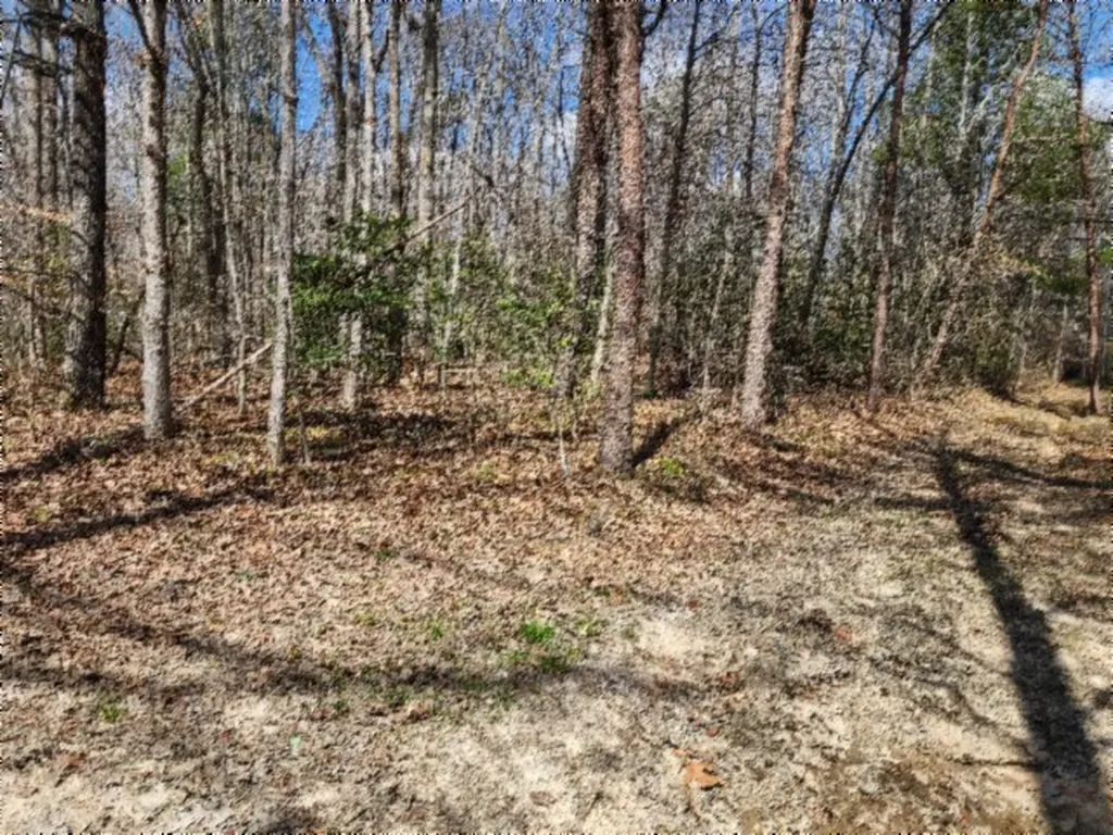10.79AC S/o Buffalo Road Oneida TN 37841