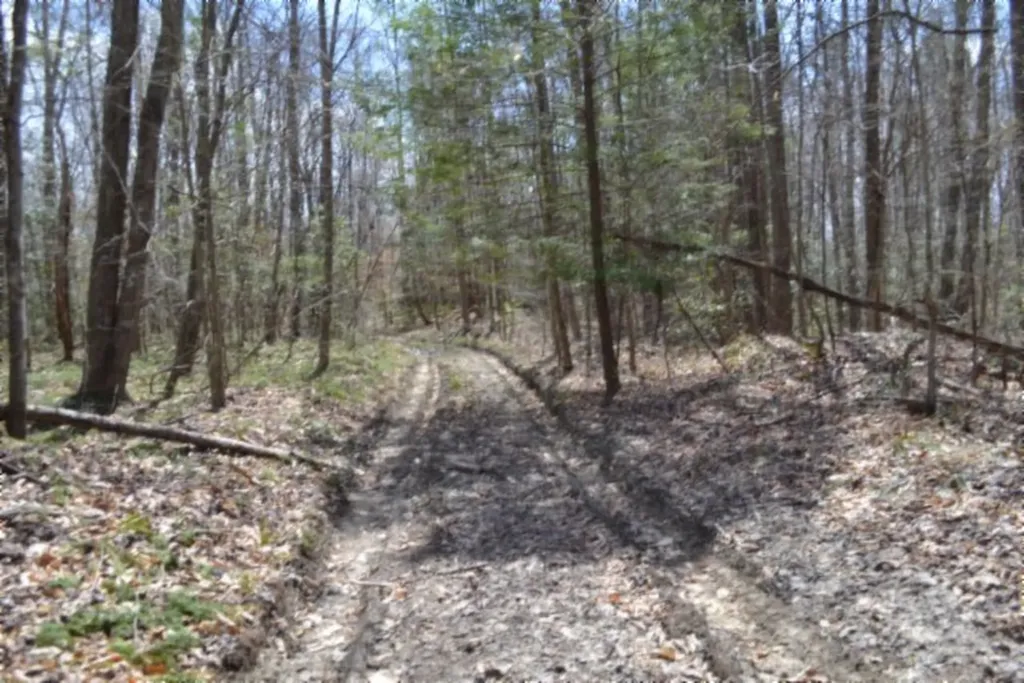 10.79AC S/o Buffalo Road Oneida TN 37841