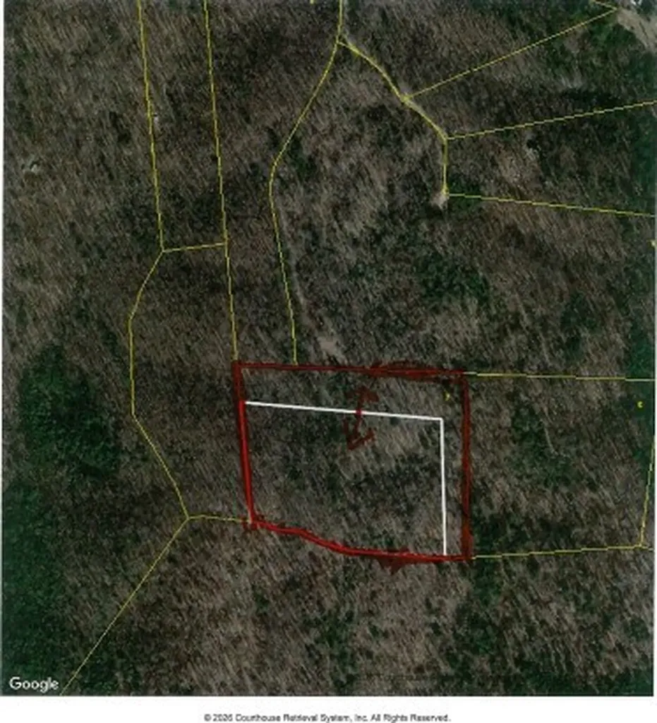 10.79AC S/o Buffalo Road Oneida TN 37841