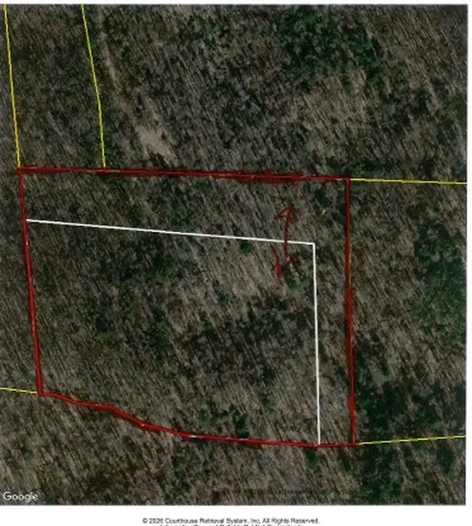 10.79AC S/o Buffalo Road Oneida TN 37841