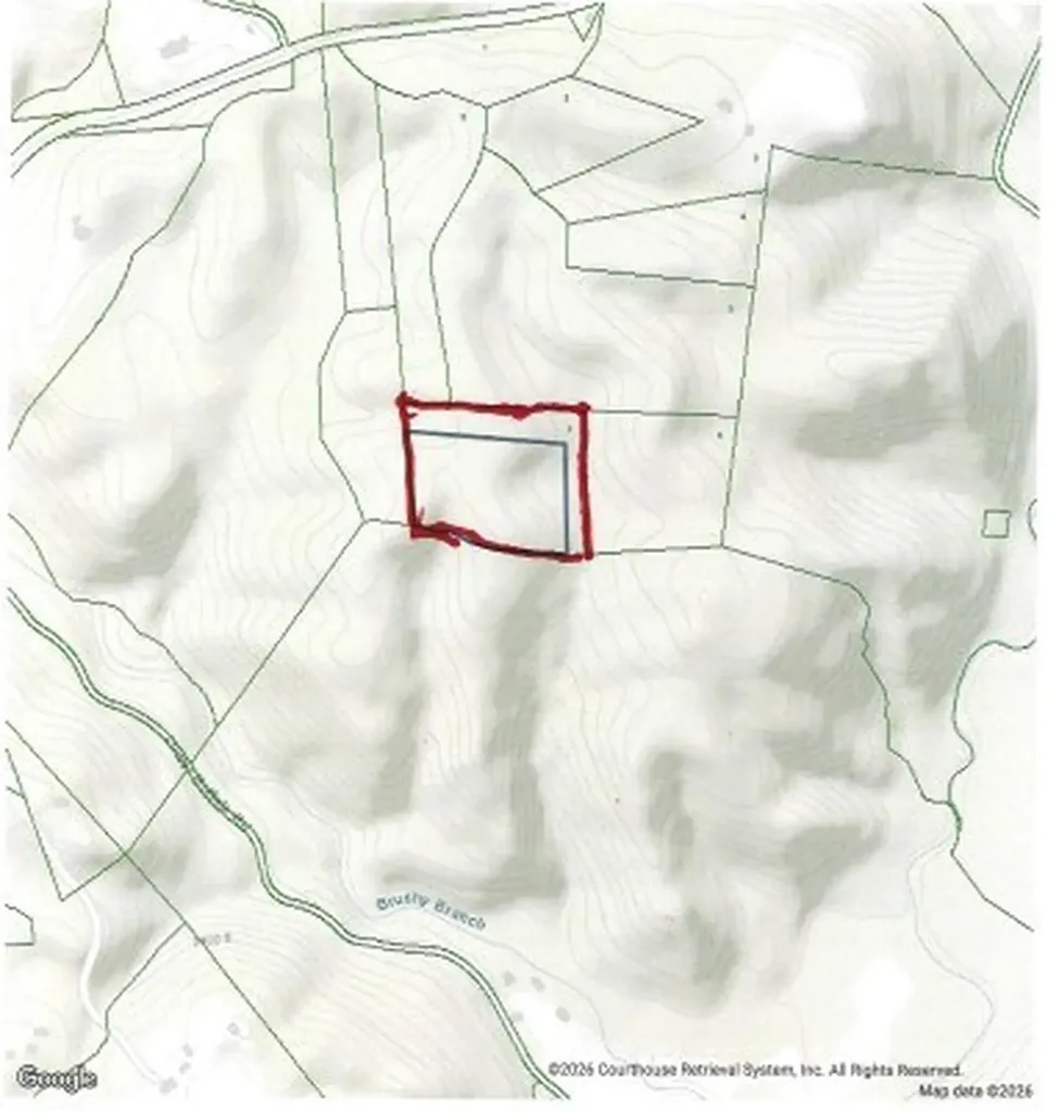 10.79AC S/o Buffalo Road Oneida TN 37841