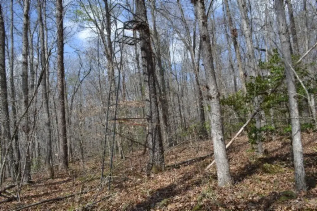 10.79AC S/o Buffalo Road Oneida TN 37841