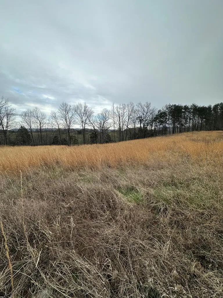 Lot 73 Hidden River Road Rock Island TN 38581