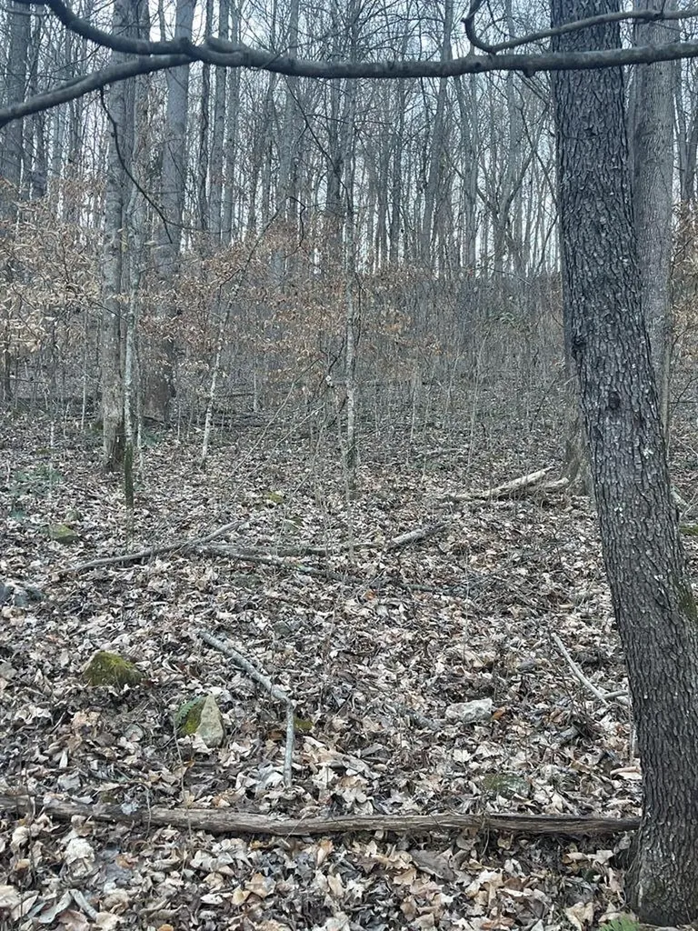 1 Back Bone Road Sparta TN 38583