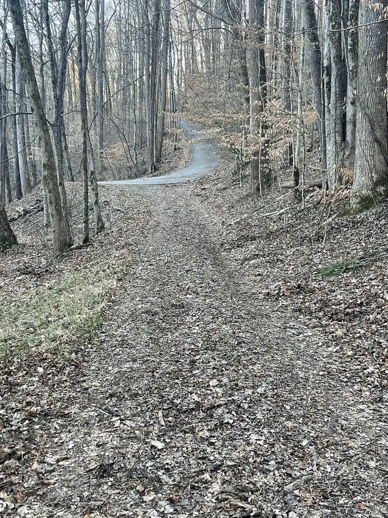 1 Back Bone Road Sparta TN 38583