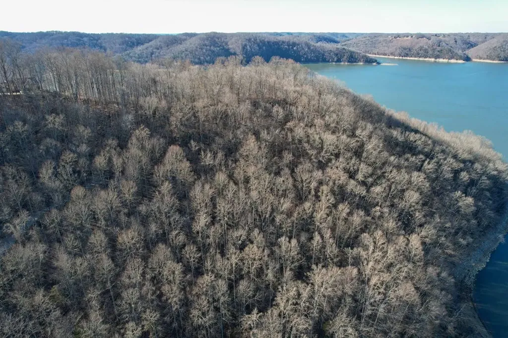 1 Back Bone Road Sparta TN 38583
