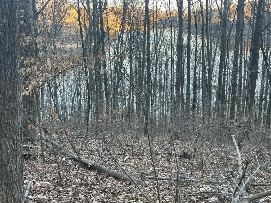 1 Back Bone Road Sparta TN 38583