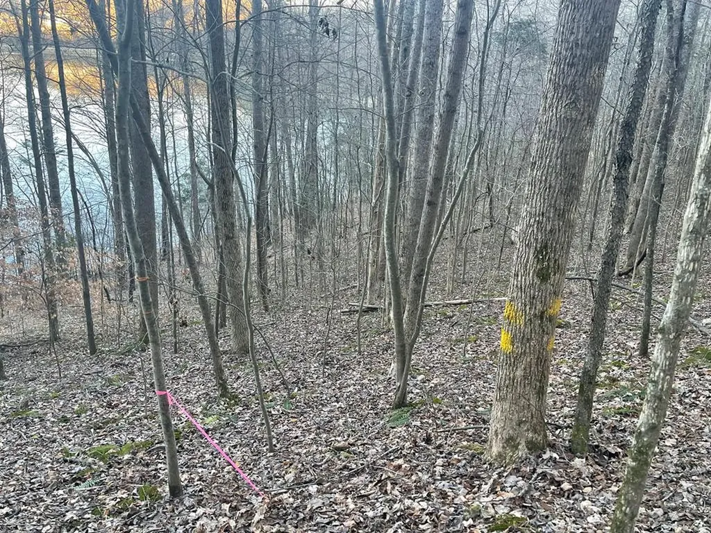 1 Back Bone Road Sparta TN 38583