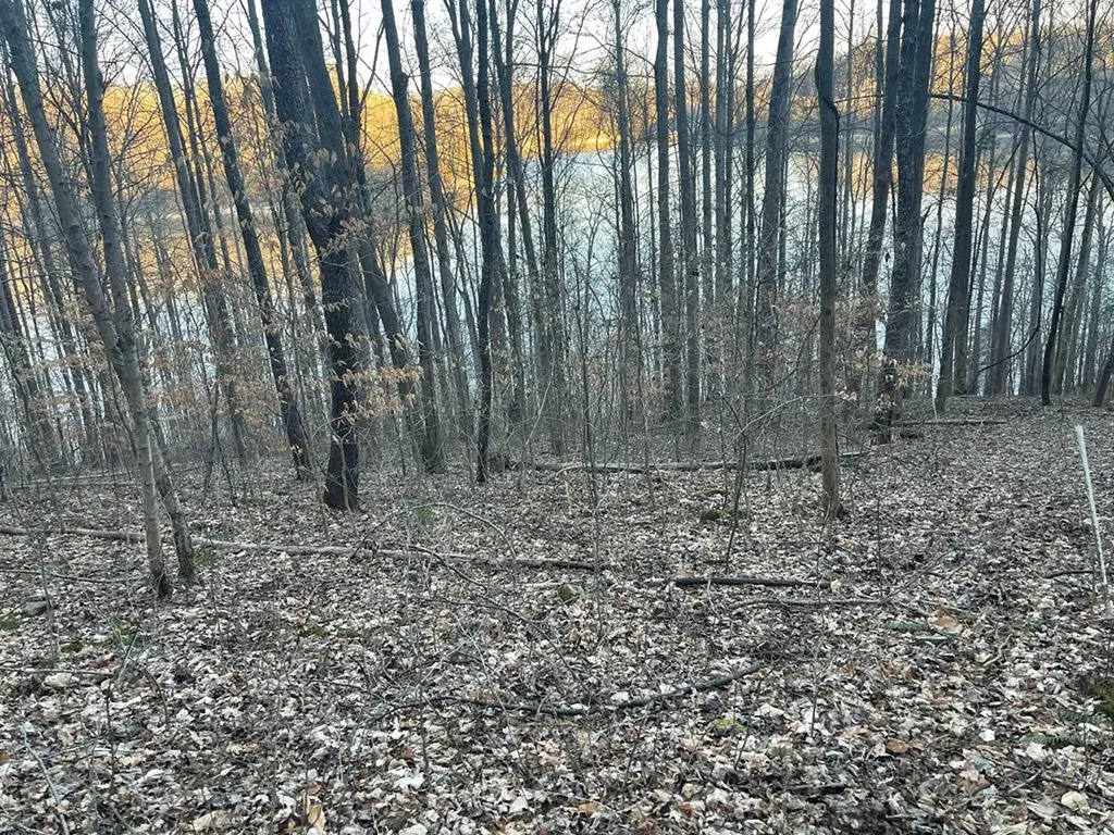 1 Back Bone Road Sparta TN 38583