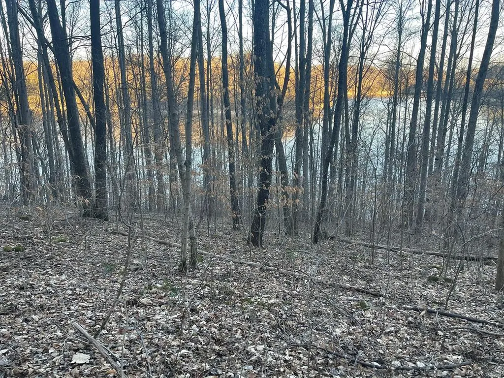 1 Back Bone Road Sparta TN 38583