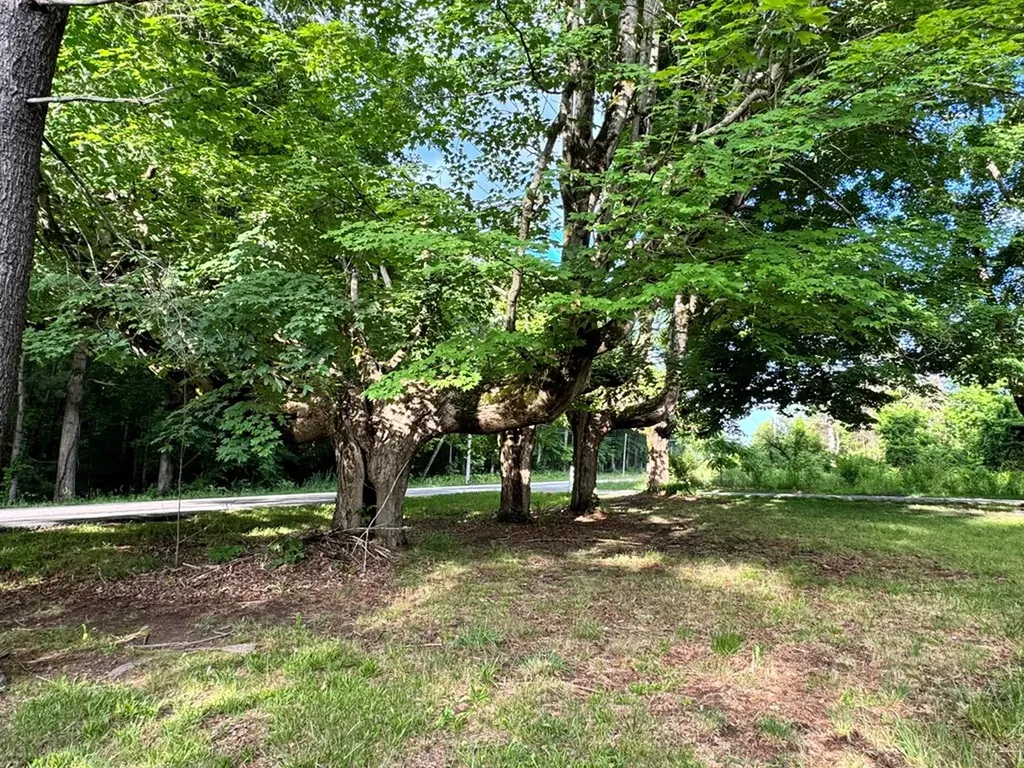 2506 Rugby Pike Jamestown TN 38556