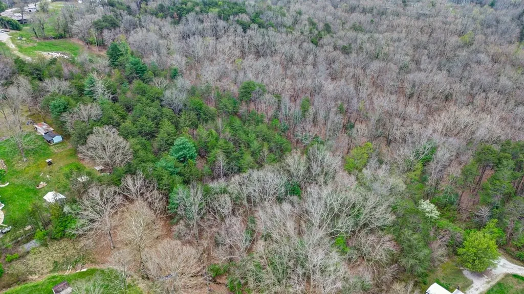 N/a Lantana Road Off Crossville TN 38555