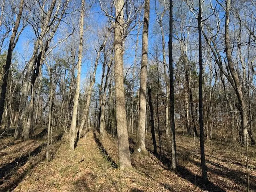 120 S Woods Road Mcminnville TN 37110