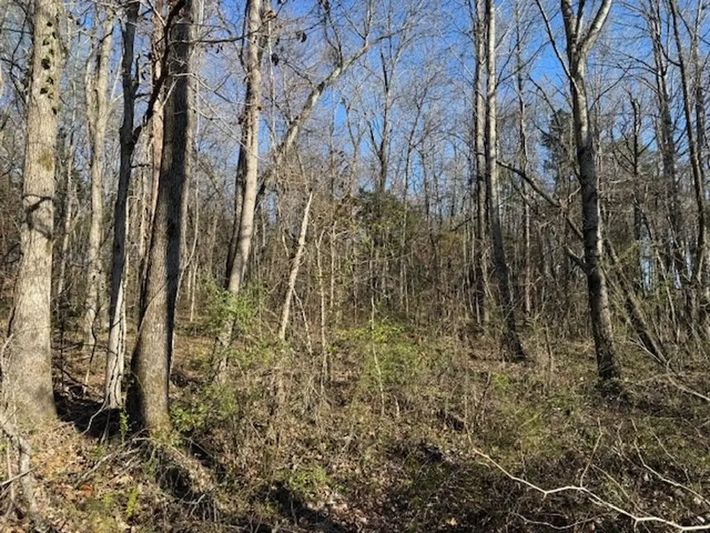 120 S Woods Road Mcminnville TN 37110