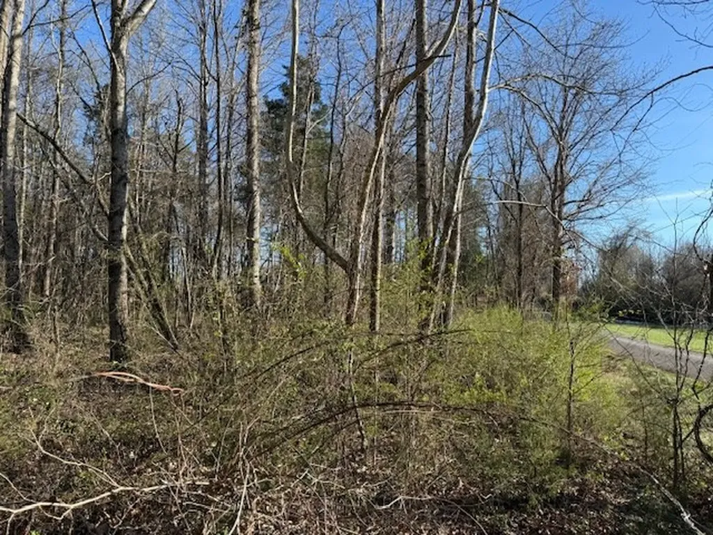 120 S Woods Road Mcminnville TN 37110