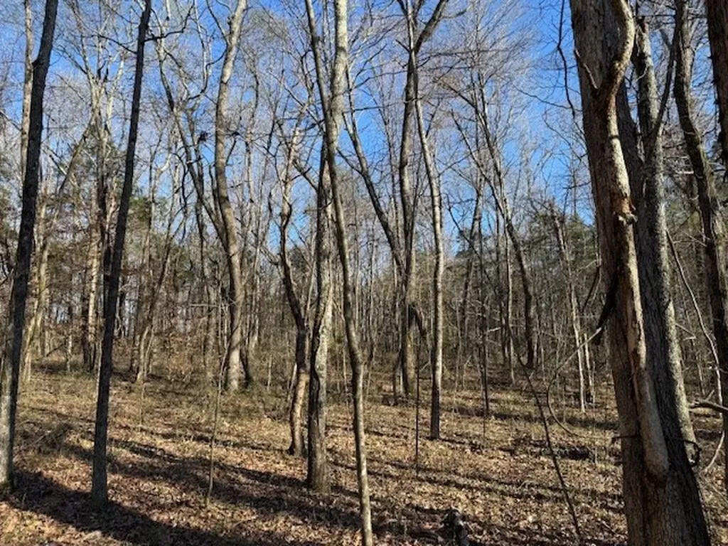120 S Woods Road Mcminnville TN 37110