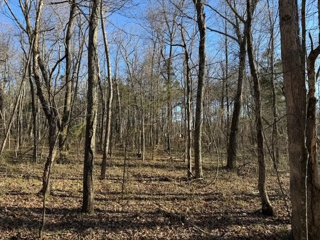 120 S Woods Road Mcminnville TN 37110