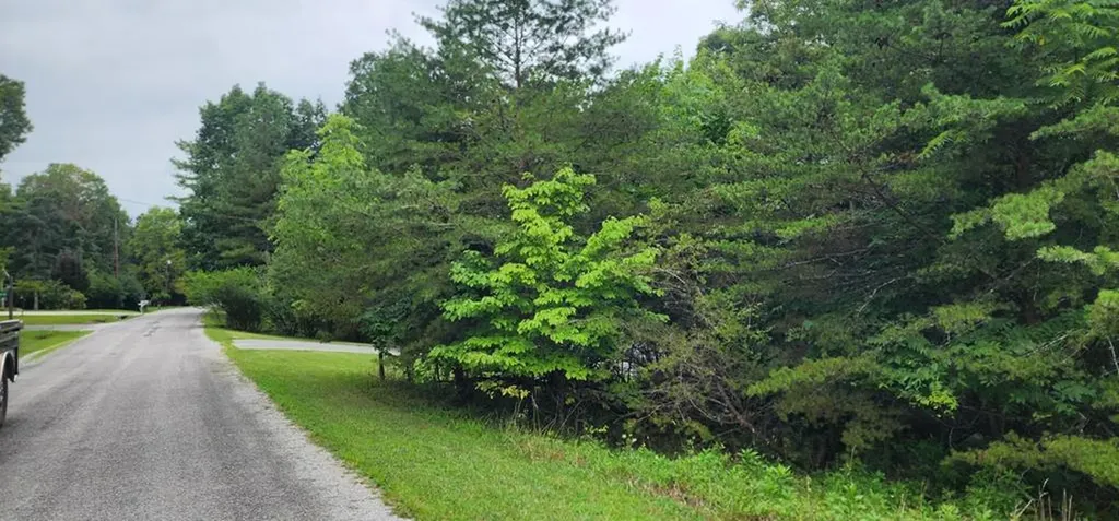 254 Kings Down Lane Crossville TN 38558