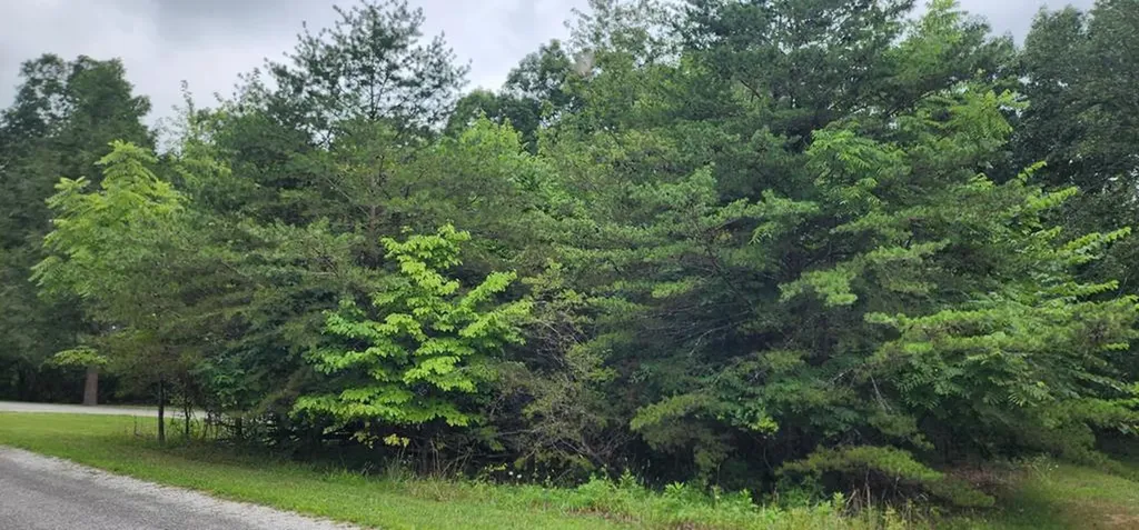254 Kings Down Lane Crossville TN 38558