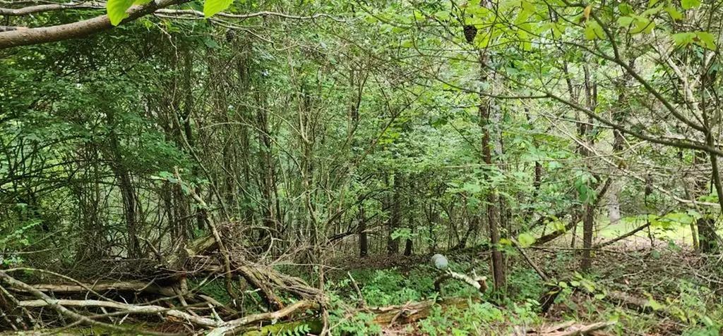 254 Kings Down Lane Crossville TN 38558