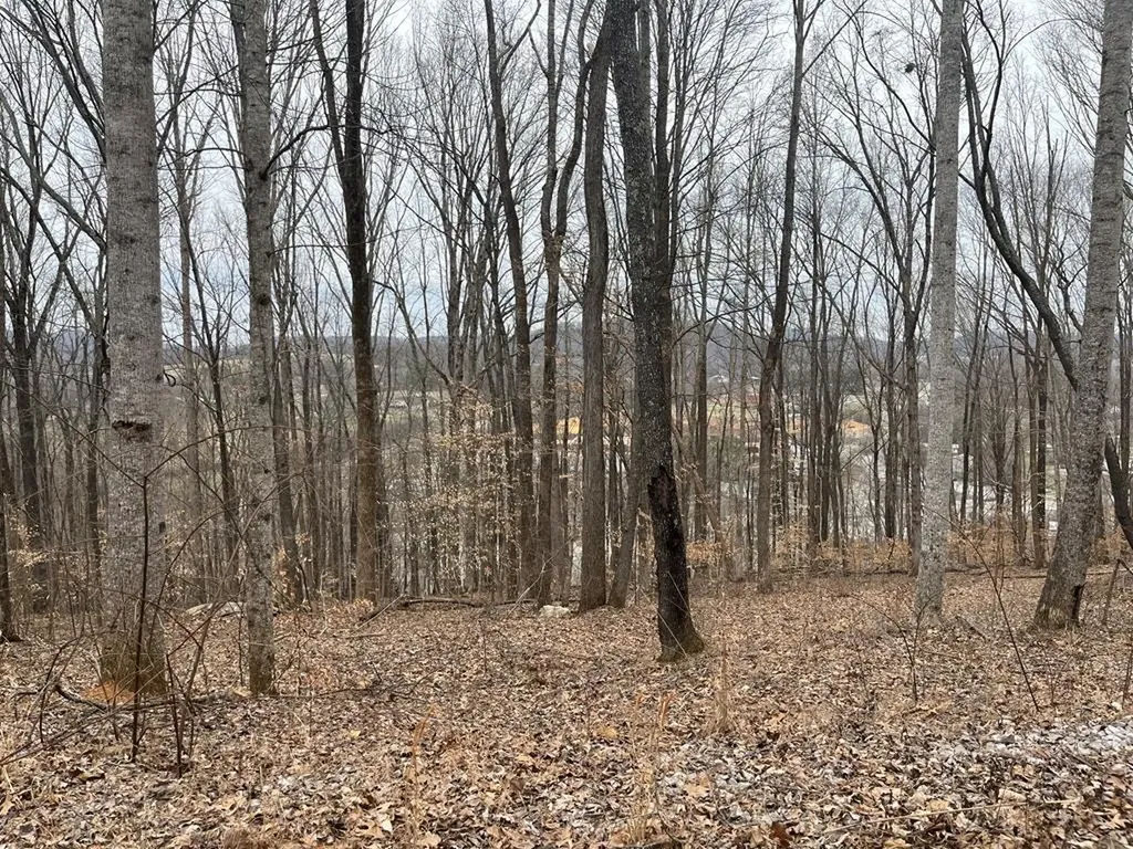 147 Chestnut Hill Livingston TN 38570