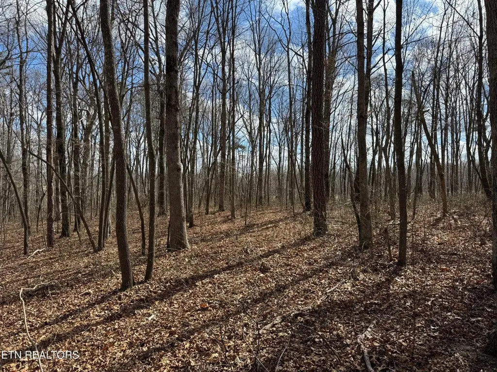 1261 Roanoke Road Jamestown TN 38556