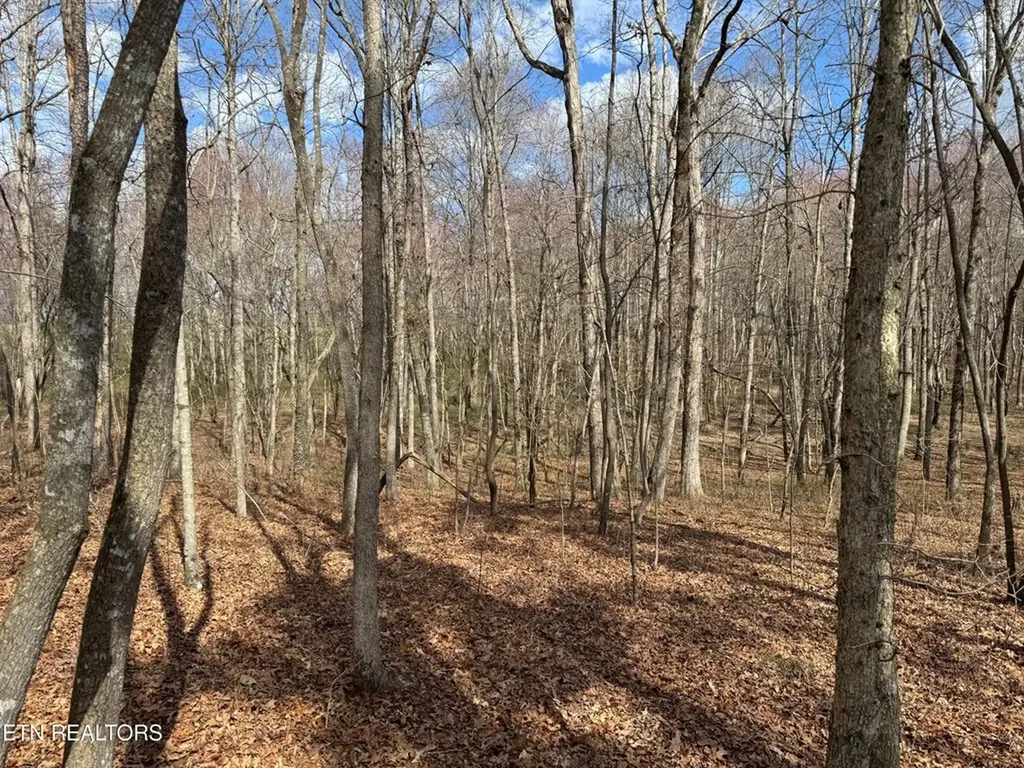 1261 Roanoke Road Jamestown TN 38556