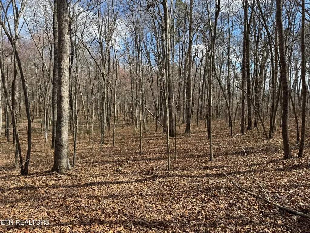 1261 Roanoke Road Jamestown TN 38556