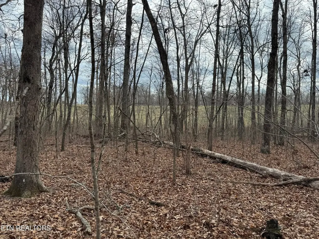 1261 Roanoke Road Jamestown TN 38556