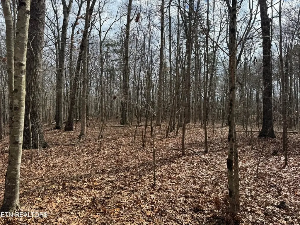 1261 Roanoke Road Jamestown TN 38556