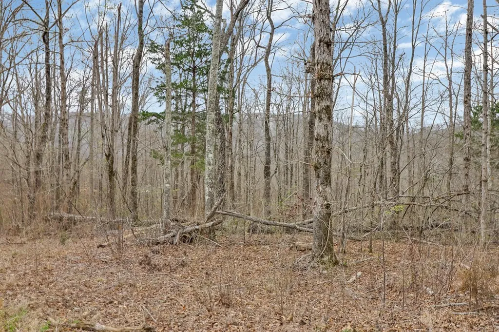 N/a Choctaw Drive Jamestown TN 38556