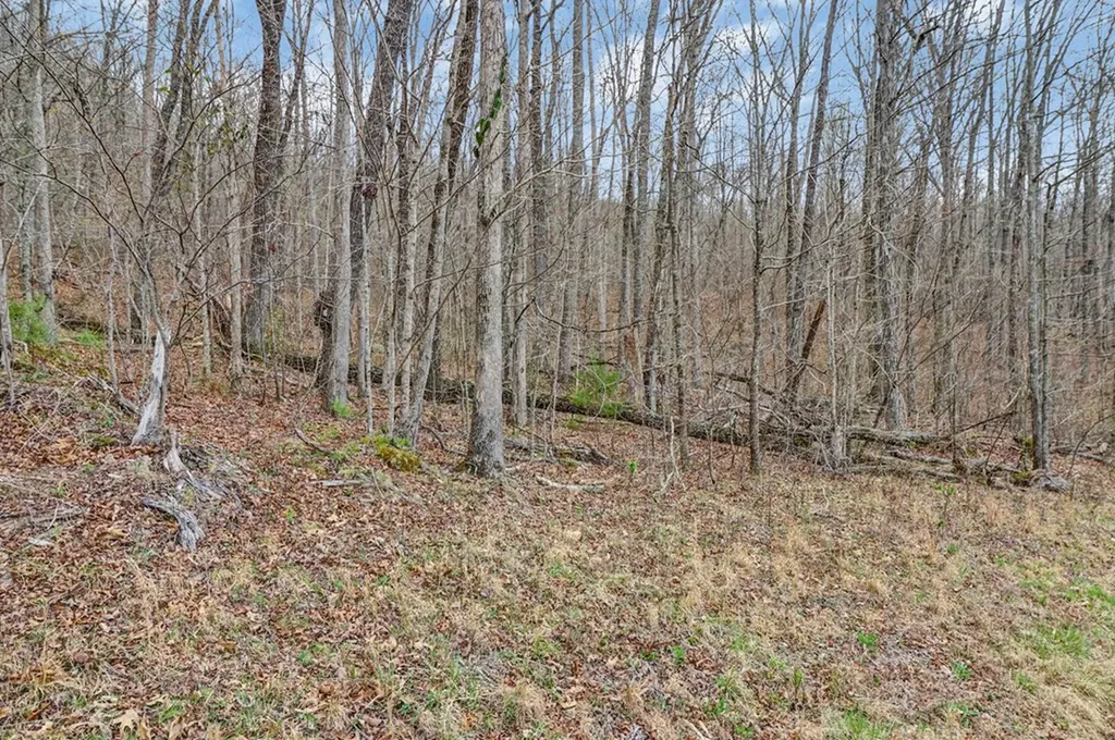 N/a Choctaw Drive Jamestown TN 38556