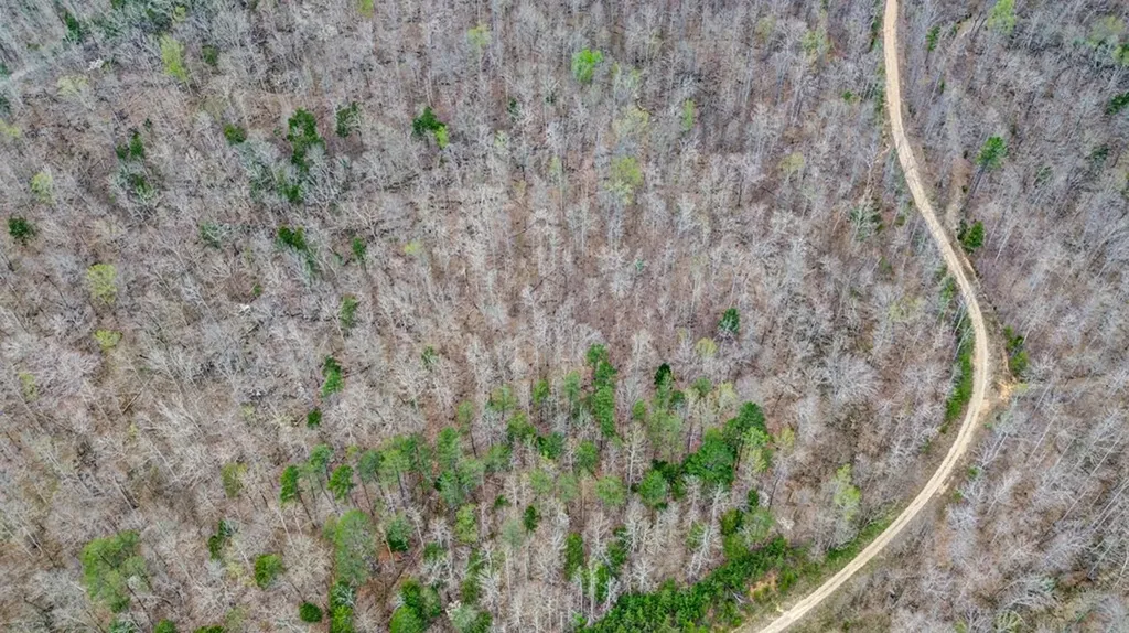 N/a Choctaw Drive Jamestown TN 38556