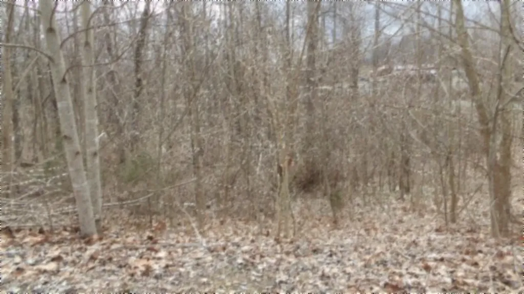 5.51AC Beaver Lane Gainesboro TN 38562