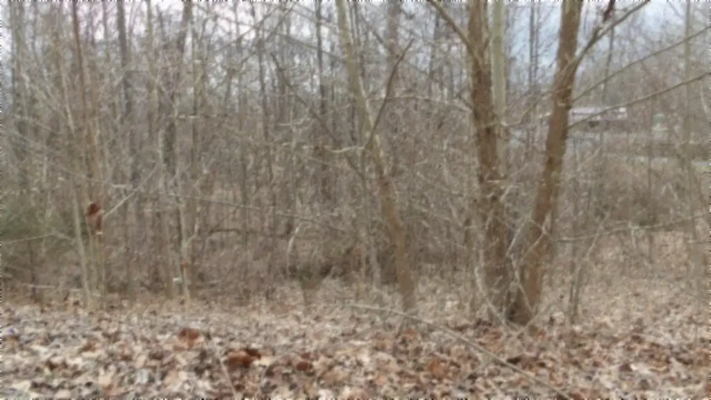 5.51AC Beaver Lane Gainesboro TN 38562