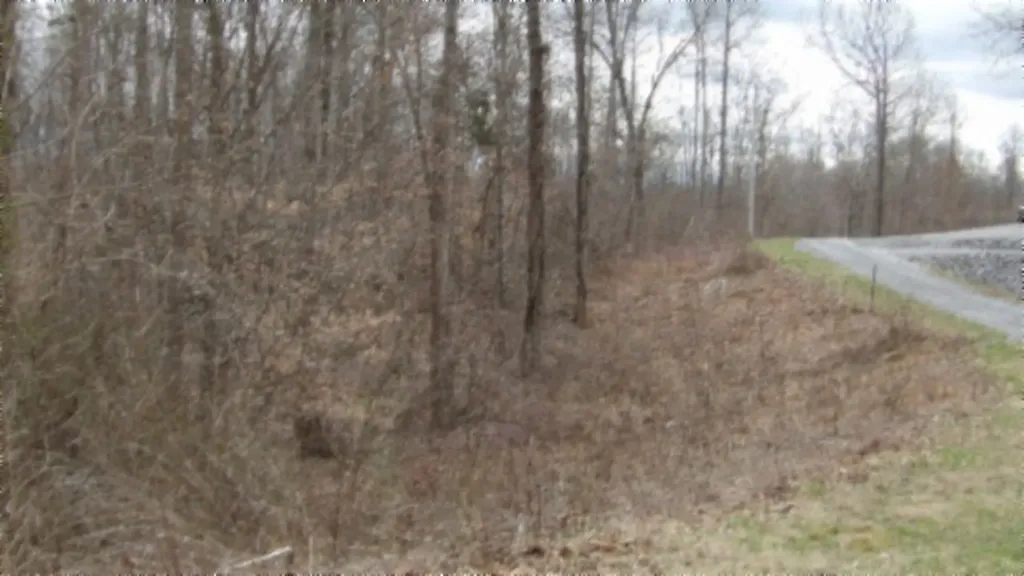 5.51AC Beaver Lane Gainesboro TN 38562