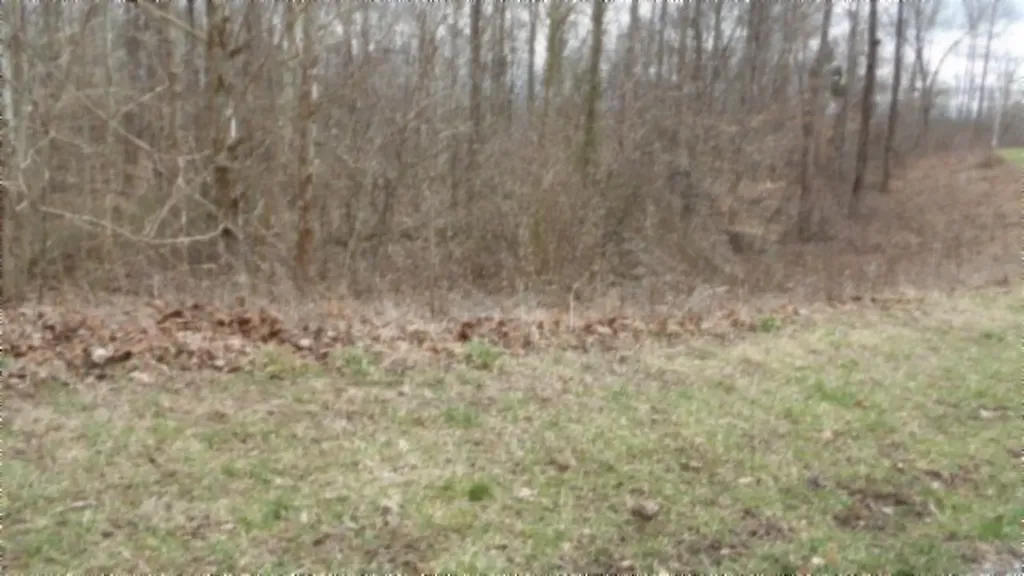 5.51AC Beaver Lane Gainesboro TN 38562