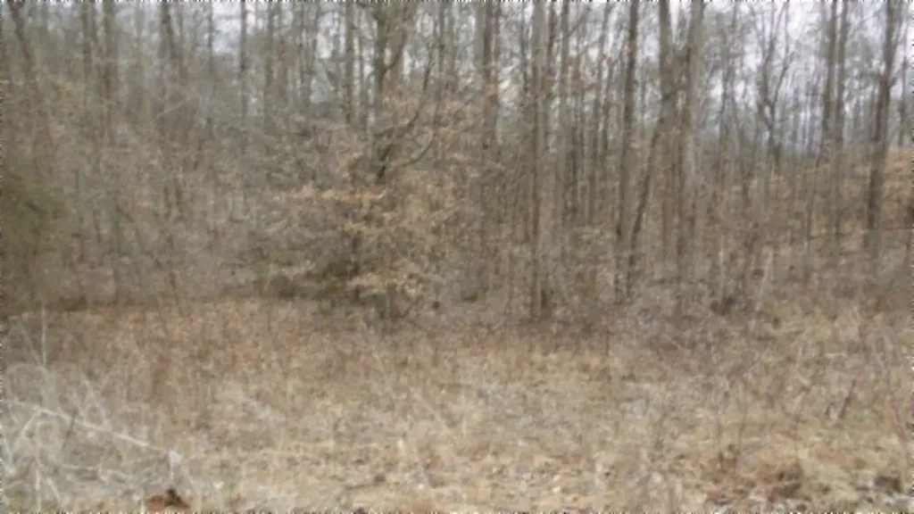 5.51AC Beaver Lane Gainesboro TN 38562