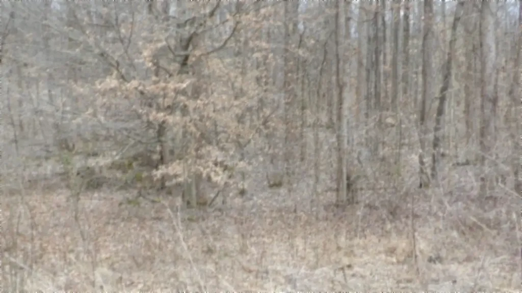 5.51AC Beaver Lane Gainesboro TN 38562