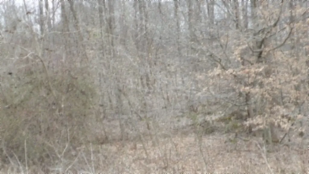 5.51AC Beaver Lane Gainesboro TN 38562
