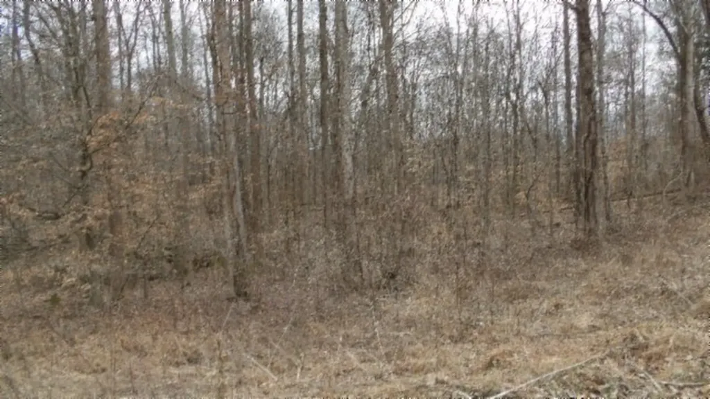 5.51AC Beaver Lane Gainesboro TN 38562