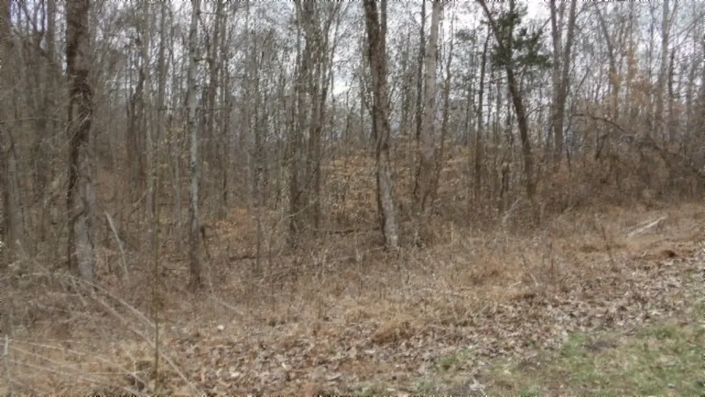 5.51AC Beaver Lane Gainesboro TN 38562