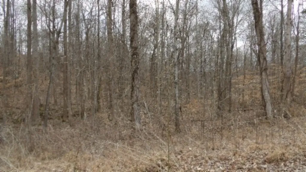 5.51AC Beaver Lane Gainesboro TN 38562